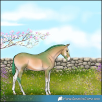 Horse Color:Watercolor Bay Onyx 