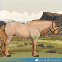 Horse Color:Red Roan