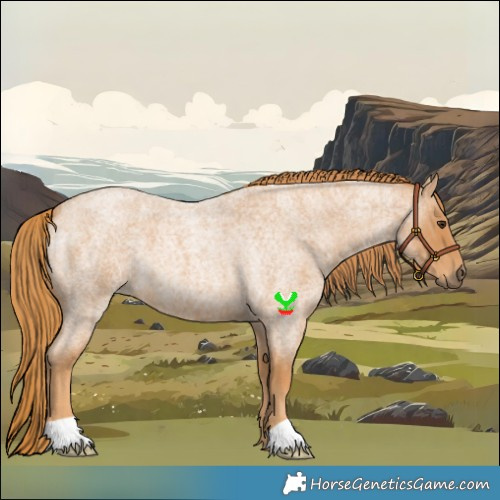 Horse Color:Red Roan