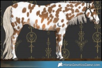 Horse Color:Chocolate Palomino Near Leopard