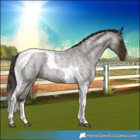Horse Color:Liver Red Roan Tobiano