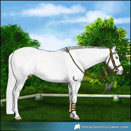 Horse Color:Silver Smoky Creme Chinchilla Dun