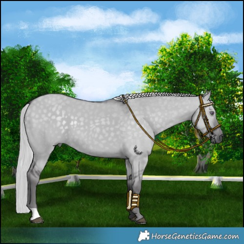 Horse Color:Silver Smoky Grullo Chinchilla 