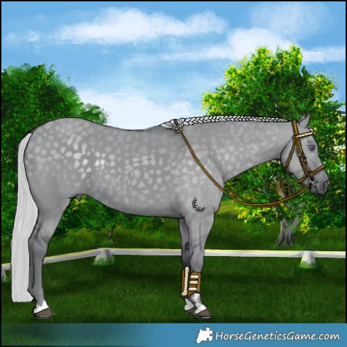 Horse Color:Silver Grullo Chinchilla 