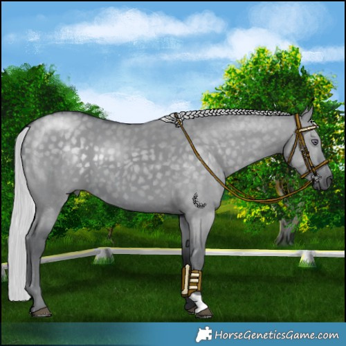 Horse Color:Silver Grullo Chinchilla