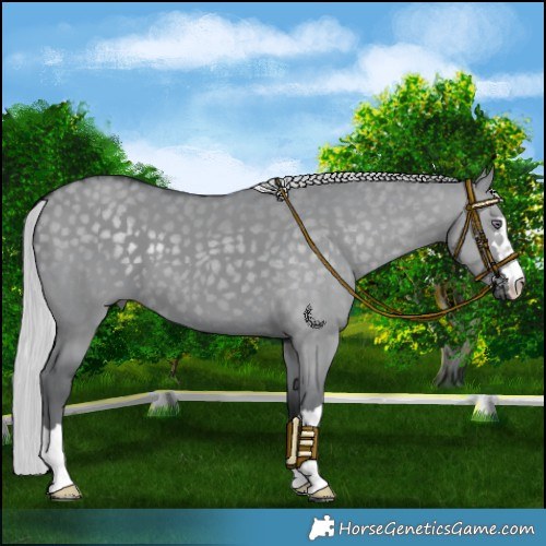 Horse Color:Silver Grullo Chinchilla 