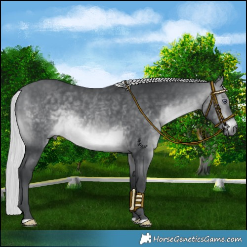 Horse Color:Silver Brown Chinchilla