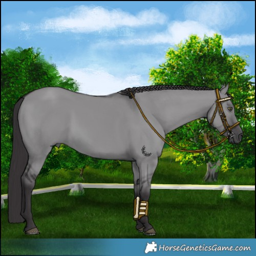 Horse Color:Smoky Grullo Chinchilla