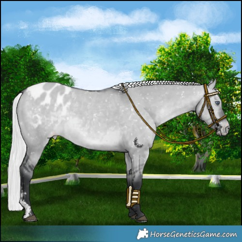 Horse Color:Silver Brown Chinchilla Dun Sabino Snowflake Varnish