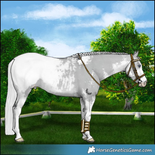 Horse Color:Silver Brown Chinchilla Dun Sabino Snowcap 