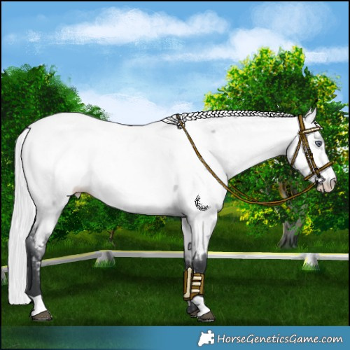 Horse Color:Silver Brown Chinchilla Dun Near Fewspot 
