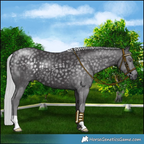 Horse Color:Silver Smoky Black Chinchilla 