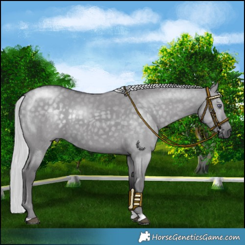 Horse Color:Silver Smoky Grullo Chinchilla 