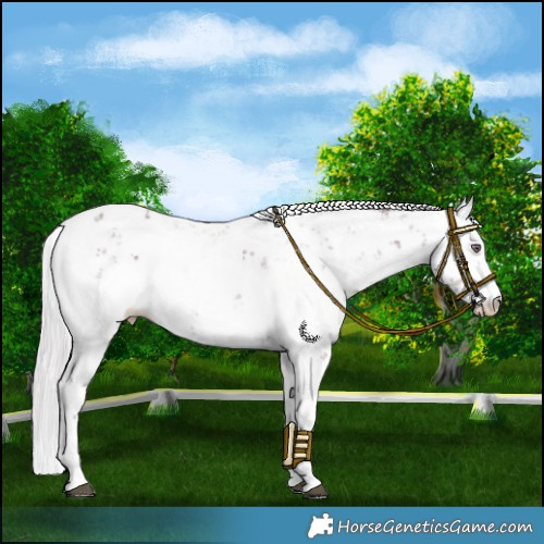 Horse Color:Chocolate Silver Smoky Black Chinchilla Sabino 