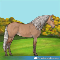Horse Color:Silver Bay Dun