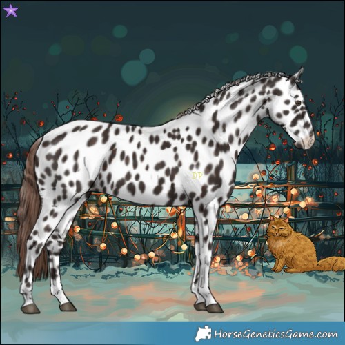 Horse Color:Liver Chestnut Tobiano Leopard