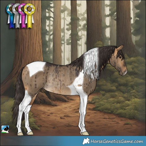 Horse Color:Buckskin Dun Tobiano Rabicano Brindle