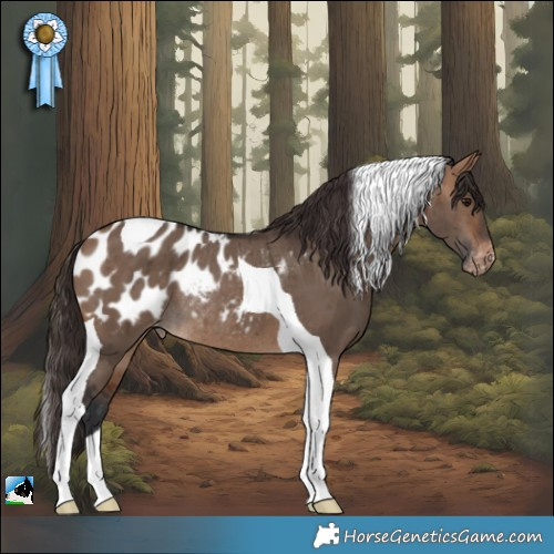 Horse Color:Bay Dun Tobiano Appaloosa Rabicano Brindle