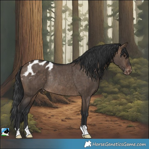 Horse Color:Brown Dun Appaloosa Rabicano Brindle
