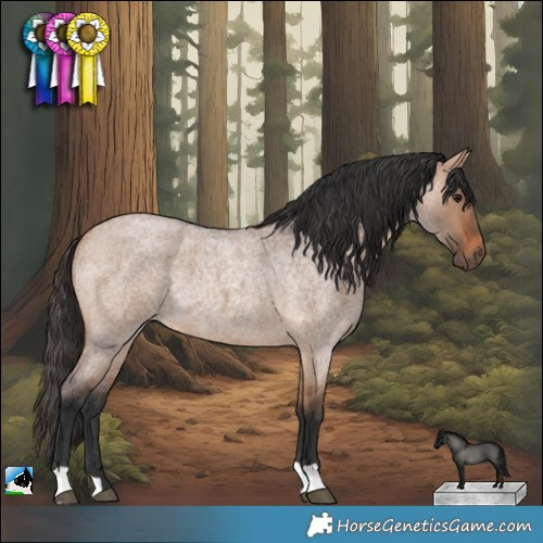 Horse Color:Bay Roan Dun Rabicano 