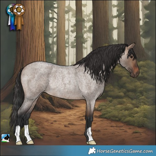Horse Color:Brown Roan Dun Rabicano