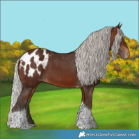 Horse Color:Silver Brown Tobiano Blanket 