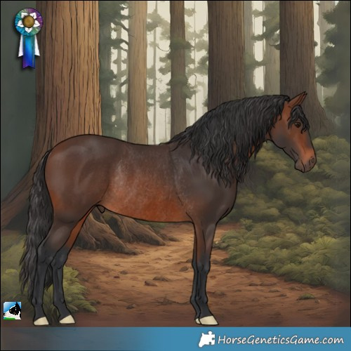 Horse Color:Brown Rabicano