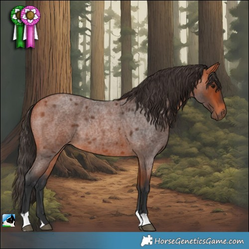 Horse Color:Bay Roan Rabicano
