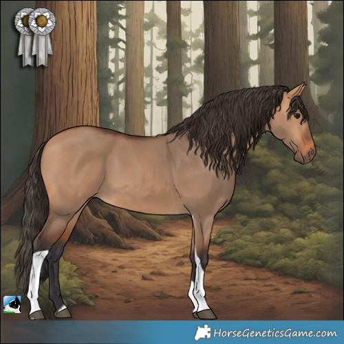 Horse Color:Bay Dun Tobiano Rabicano