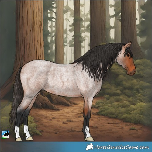 Horse Color:Bay Roan Rabicano