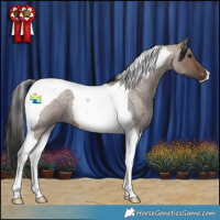 Horse Color:Brown Roan Dun Tobiano 