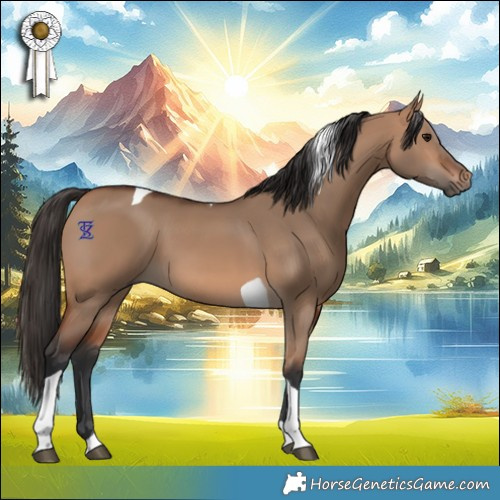 Horse Color:Bay Dun Tobiano 