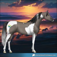 Horse Color:Grullo Tobiano