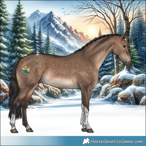 Horse Color:Brown Dun Tobiano 