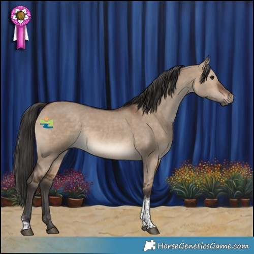 Horse Color:Brown Dun Tobiano 