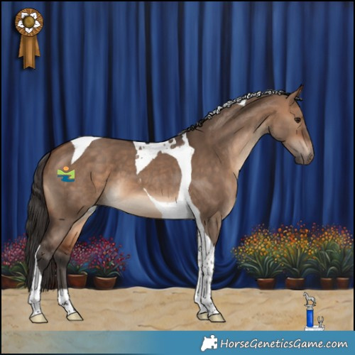 Horse Color:Bay Dun Tobiano 
