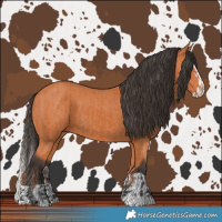 Horse Color:Bay  and Bay Splash 
