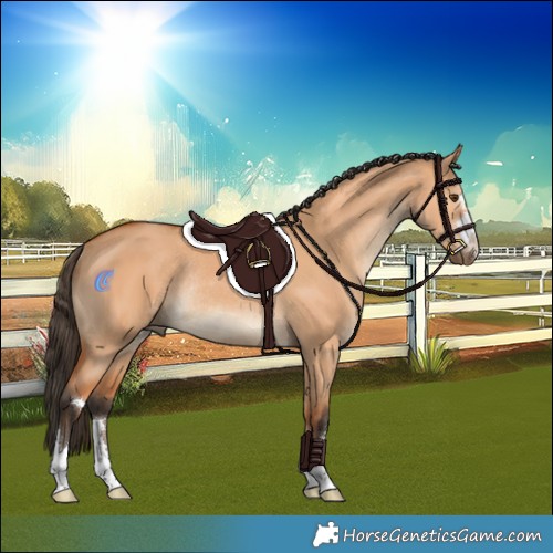 Horse Color:Bay Dun Rabicano 