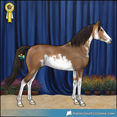 Horse Color:Gray White Spotted Bay Dun Rabicano 