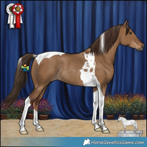 Horse Color:Gray Red Dun Tobiano Rabicano
