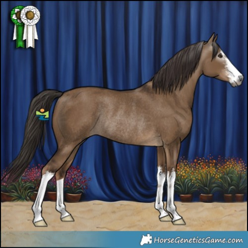 Horse Color:Gray White Spotted Liver Red Dun Rabicano 