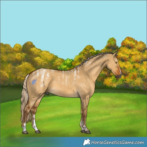 Horse Color:Powder White Gray Palomino Dun