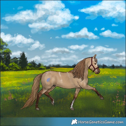Horse Color:Powder White Gray Red Dun 