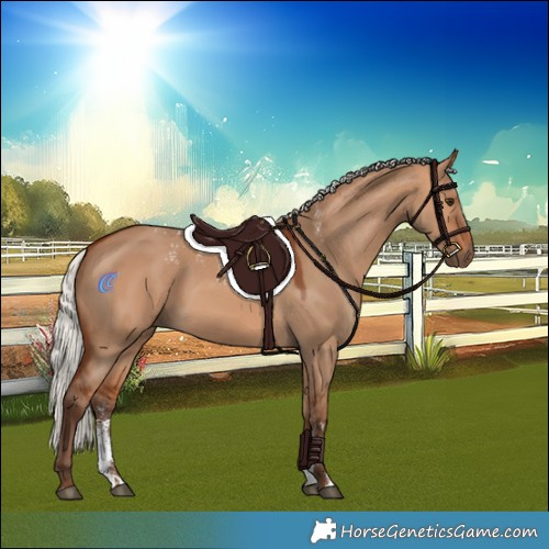 Horse Color:Powder White Silver Bay Dun Rabicano 