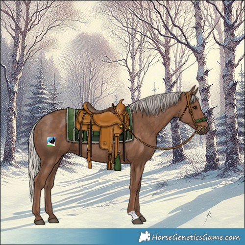 Horse Color:Silver Black