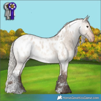Horse Color:White Spotted Silver Bay Roan Dun Blanket 