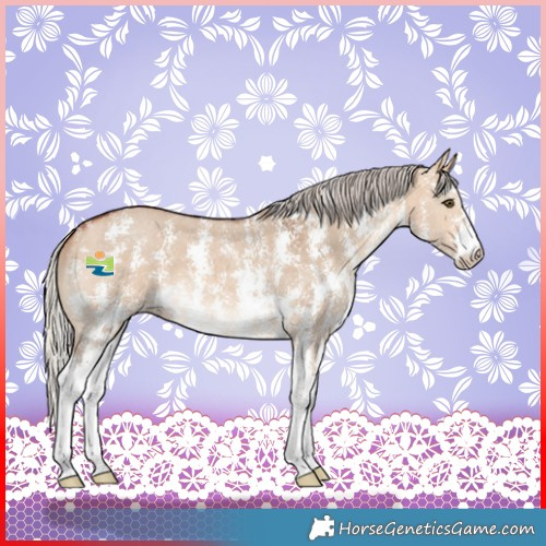 Horse Color:Silver Bay Dun Sabino