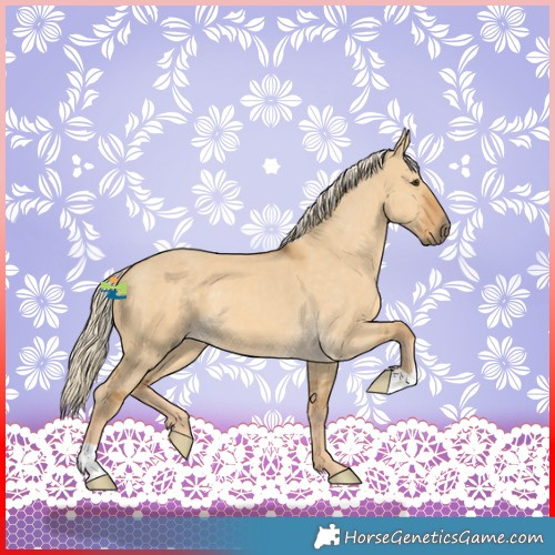 Horse Color:Palomino Dun 