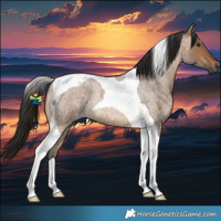 Horse Color:Gray Bay Roan Dun Tobiano Rabicano