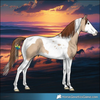 Horse Color:Red Dun Splash Tobiano 